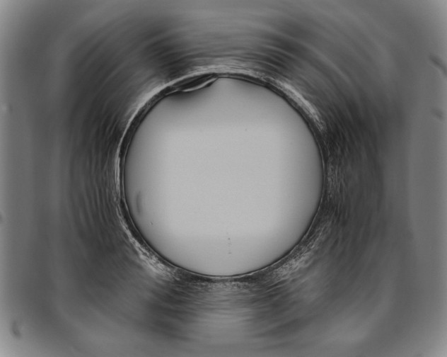 X0000096460988200802211121