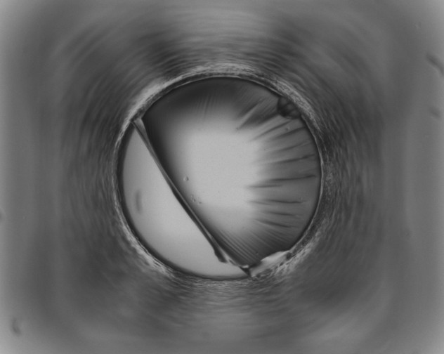 X0000096460989200802211121