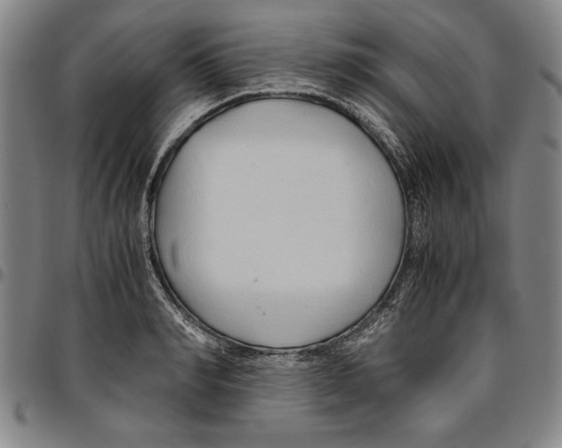 X0000096460990200802211121