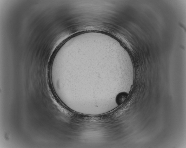 X0000096460991200802211121