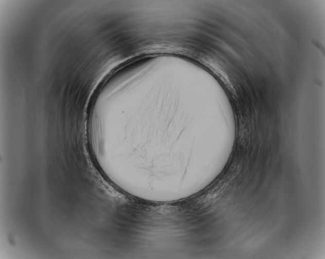 X0000096460992200802211121