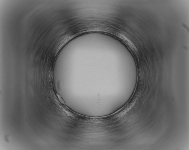 X0000096460993200802211121