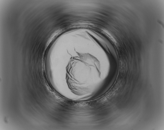 X0000096460994200802211121