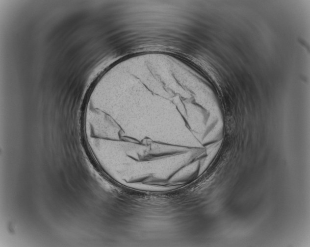 X0000096460995200802211121