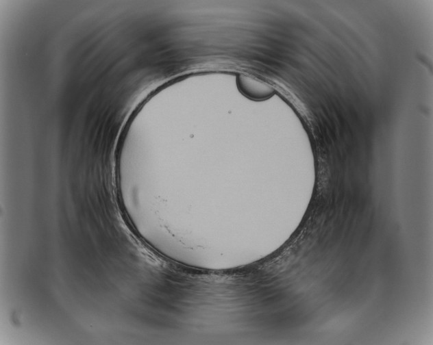 X0000096460996200802211121