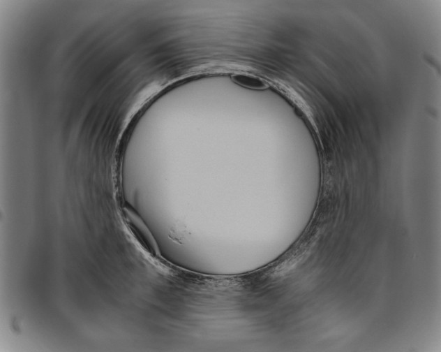 X0000096460997200802211121