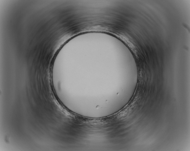 X0000096460998200802211121