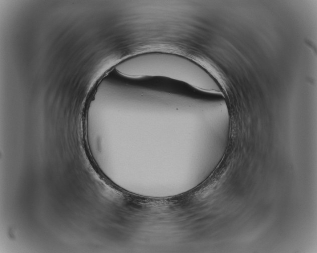 X0000096460999200802211121
