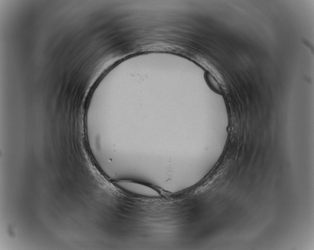X0000096461000200802211121