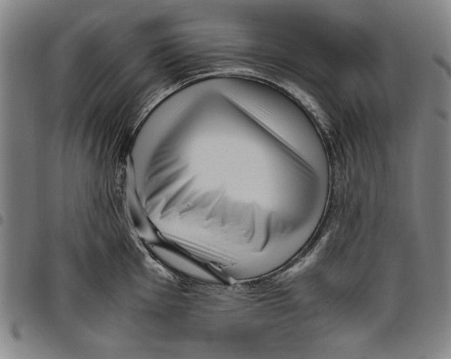 X0000096461001200802211121
