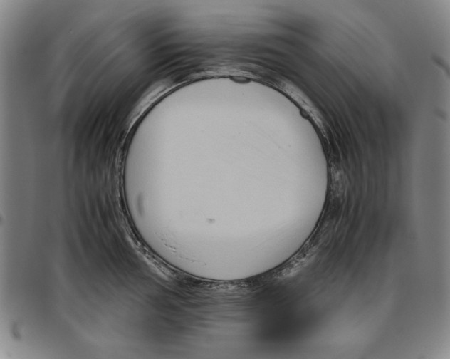 X0000096461002200802211121