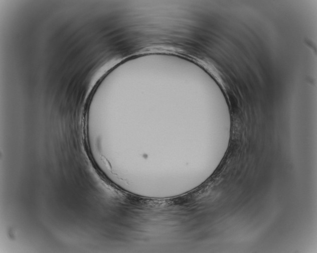 X0000096461003200802211121