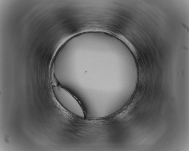 X0000096461004200802211121