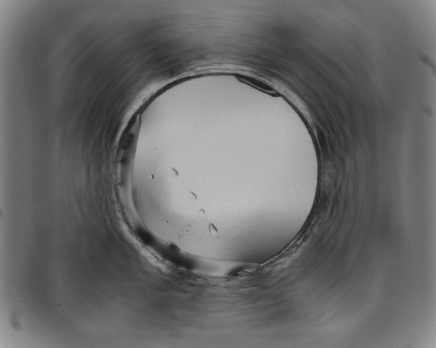 X0000096461005200802211121
