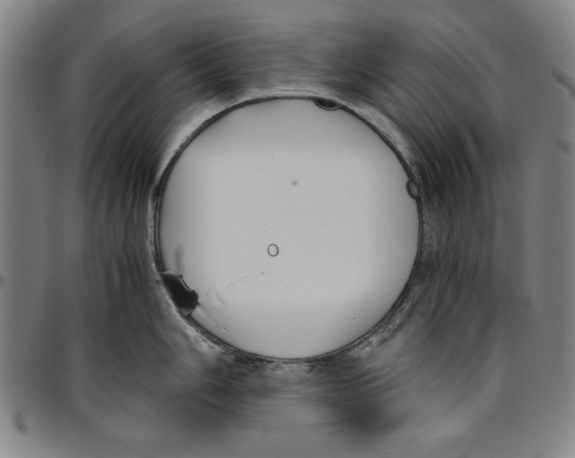 X0000096461006200802211121
