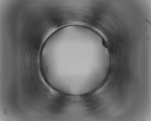 X0000096461007200802211121
