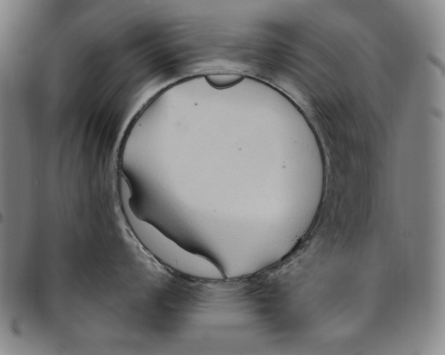 X0000096461008200802211121