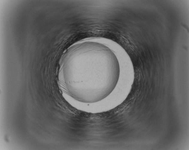 X0000096461009200802211120