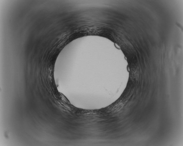 X0000096461010200802211120