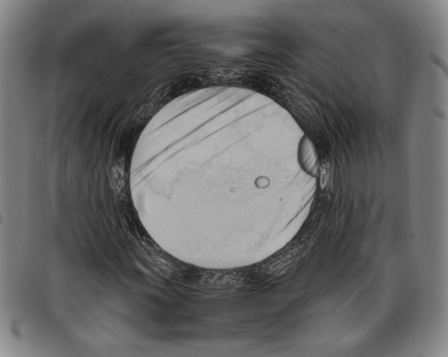 X0000096461011200802211120