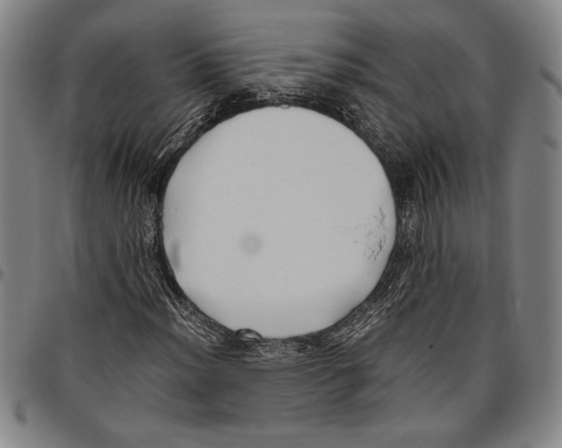 X0000096461012200802211120