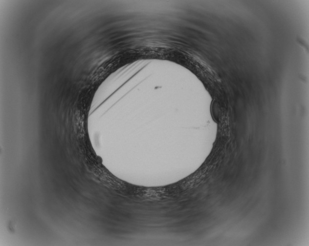 X0000096461013200802211120