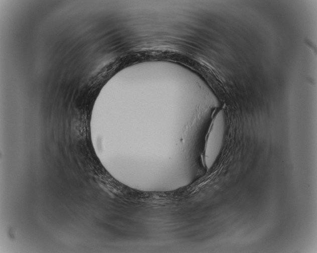 X0000096461014200802211120