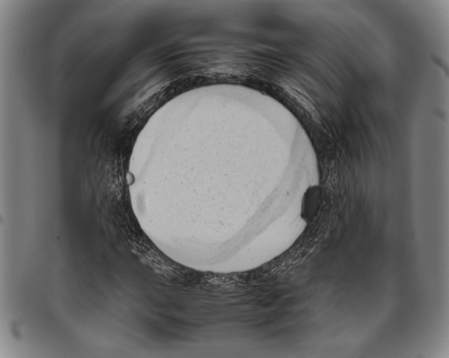 X0000096461015200802211120