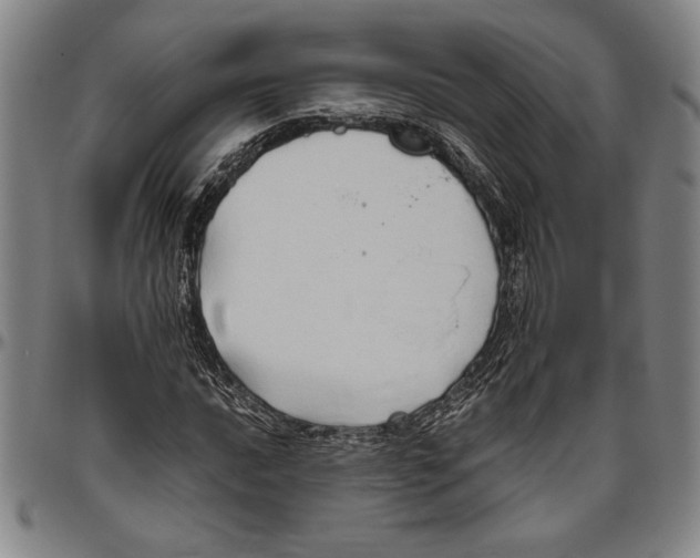 X0000096461016200802211120
