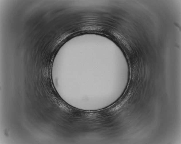 X0000096461017200802211120
