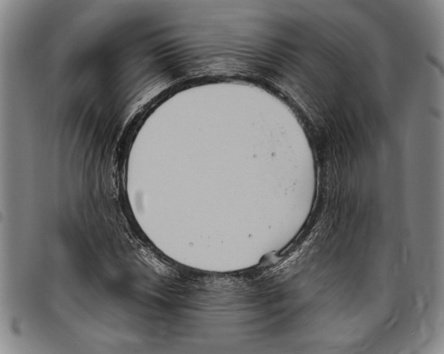 X0000096461018200802211120
