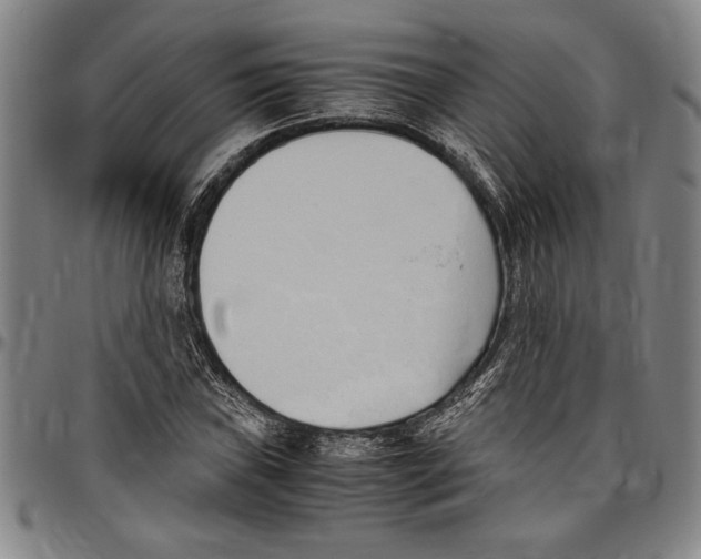 X0000096461019200802211120