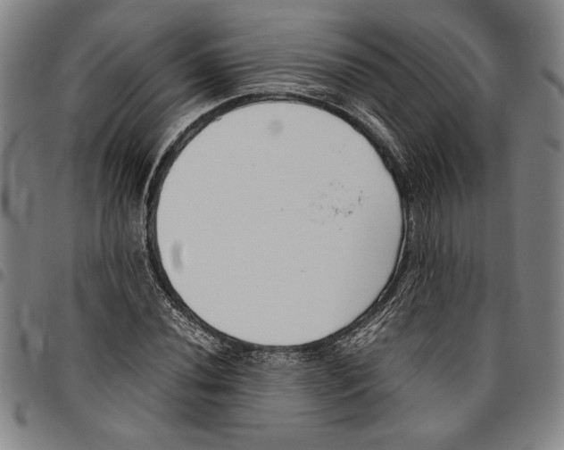 X0000096461020200802211120