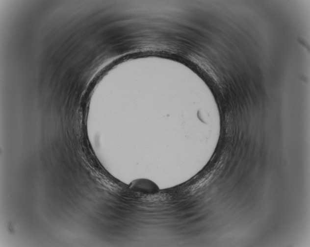 X0000096461021200802211120