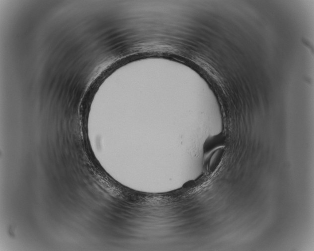 X0000096461022200802211120