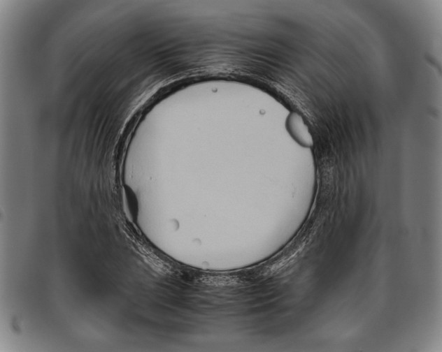 X0000096461023200802211120