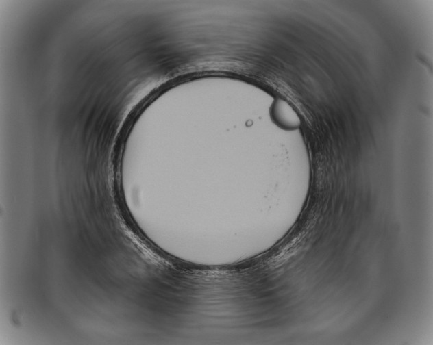 X0000096461024200802211120