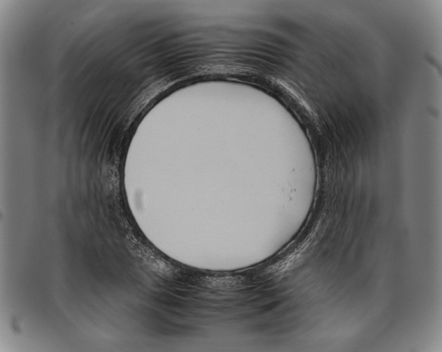 X0000096461025200802211120