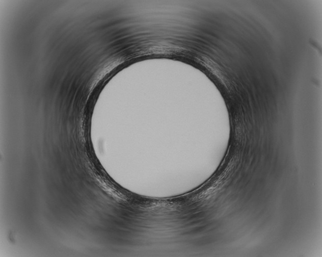 X0000096461026200802211120