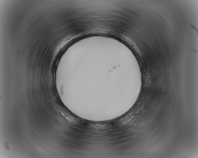 X0000096461027200802211121