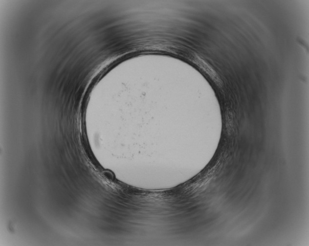 X0000096461028200802211121