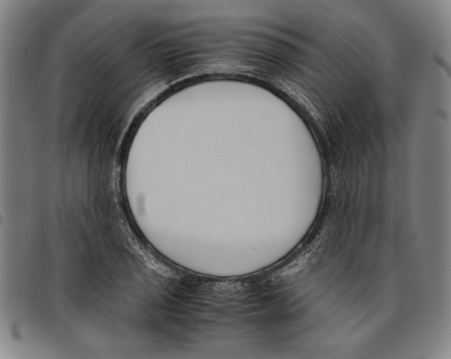X0000096461029200802211121