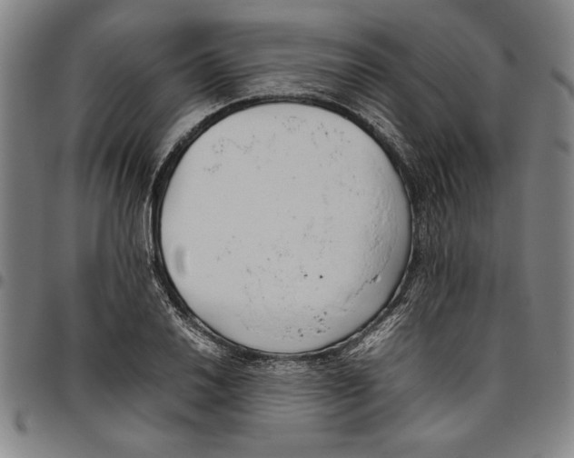 X0000096461030200802211121
