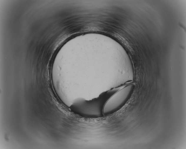 X0000096461031200802211121