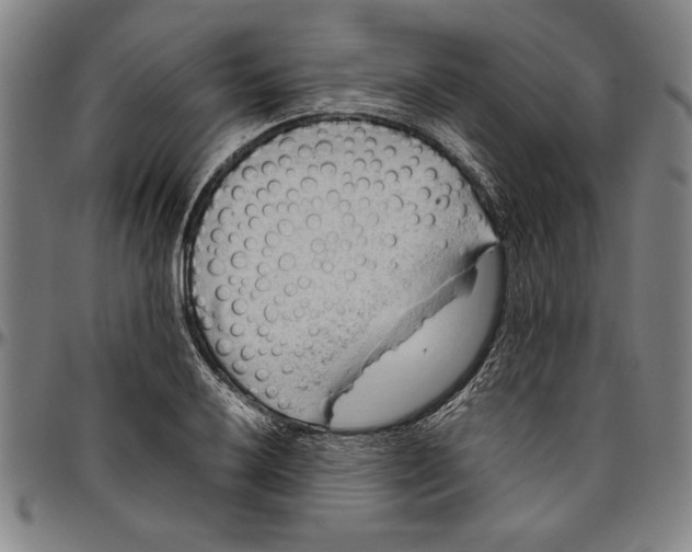 X0000096461032200802211121