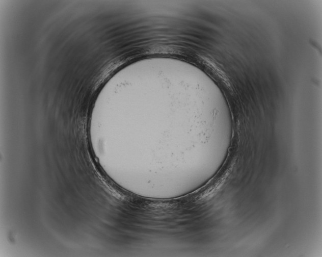 X0000096461033200802211121