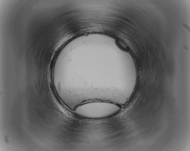 X0000096461034200802211121