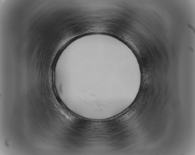 X0000096461035200802211121