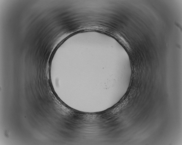 X0000096461036200802211121