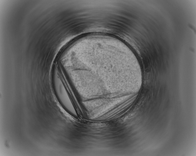 X0000096461037200802211121